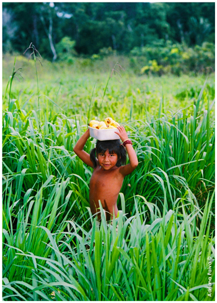 Menina yanomami. Reserva de maturacá. Fronteira do Brasil com a Venezuela, 2002. Foto por Adriana Paiva.