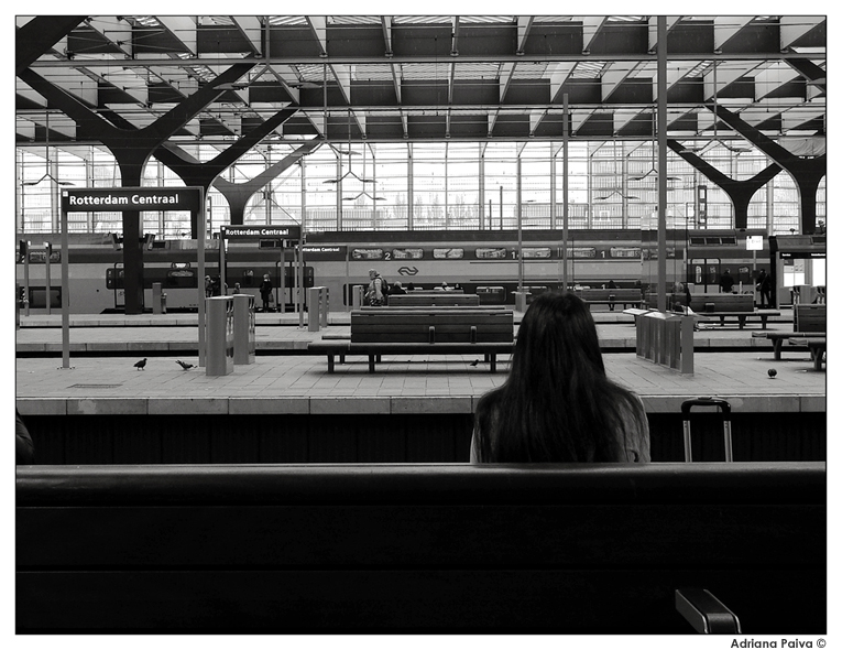Rotterdam Centraal train station. Netherlands. Photo by Adriana Paiva.