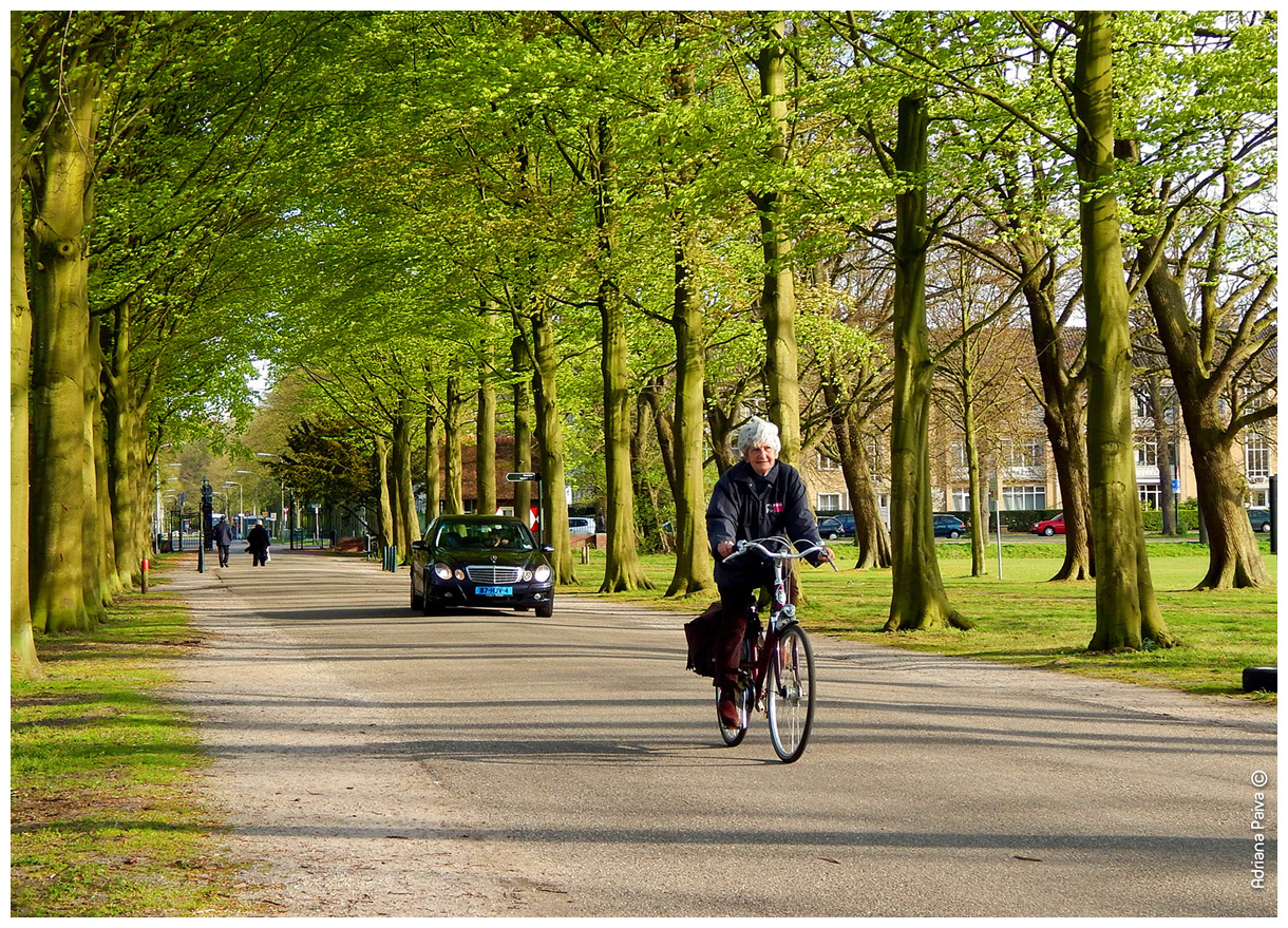 Clingendael Park | The Hague, Netherlands. Photo by Adriana Paiva.