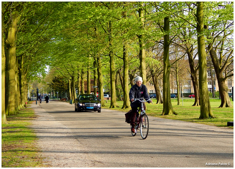 Clingendael Park | The Hague, Netherlands. Photo by Adriana Paiva.