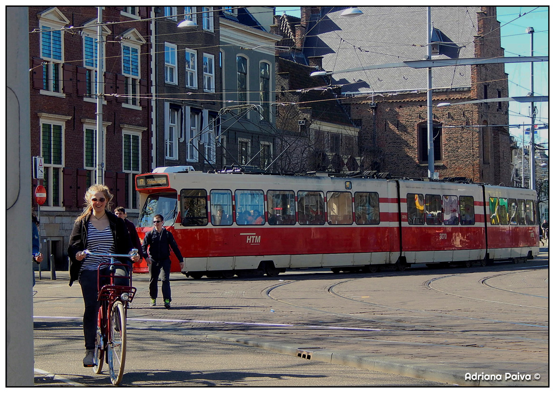 Buitenhof, Den Haag, Nederland. Photo by Adriana Paiva